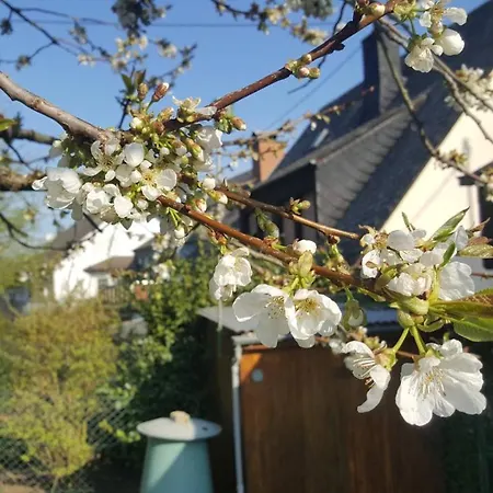 Rheinzeit Beim Toni Boppard
