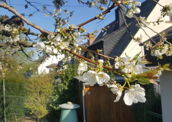 Rheinzeit Beim Toni Boppard
